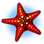 Red Starfish