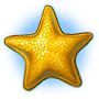 Yellow Starfish
